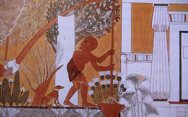 Der Grabarbeiter Ipui bewässert sein Feld, TT217, NR, 19. Dyn. Ramses II.